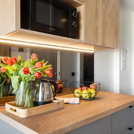 Bright Lofts Near Center Harbour 公寓 塔林