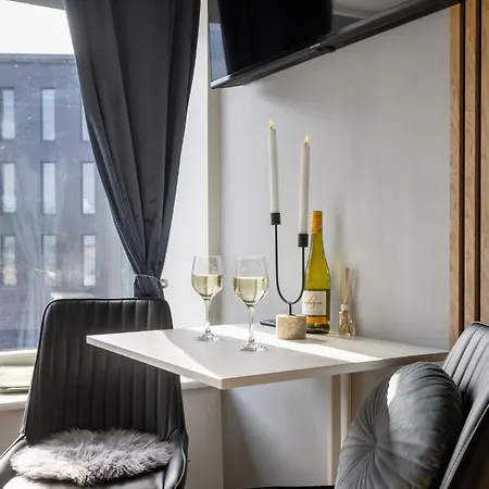 Bright Lofts Near Center Harbour Apartment